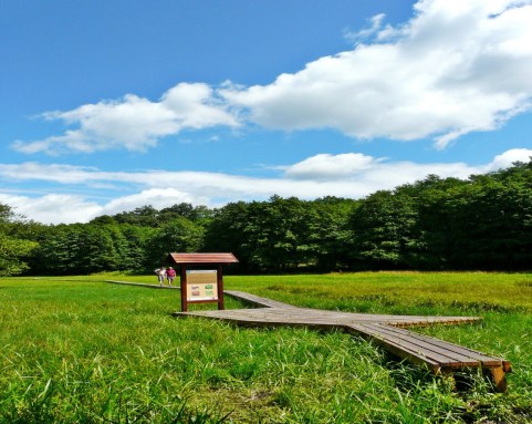 vendégház_tanösvény_6